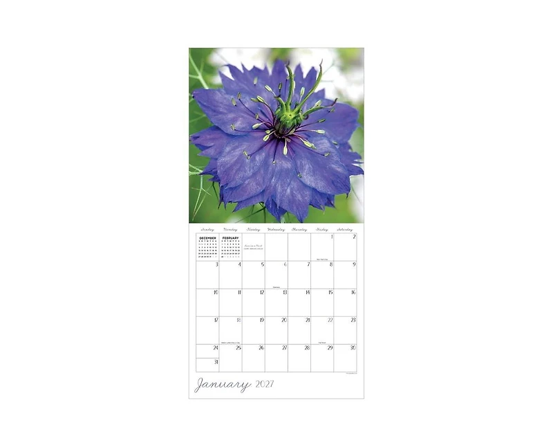 Tf Publishing Paper Goods 2027 Flowers Wall Calendar