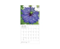 Tf Publishing Paper Goods 2027 Flowers Wall Calendar