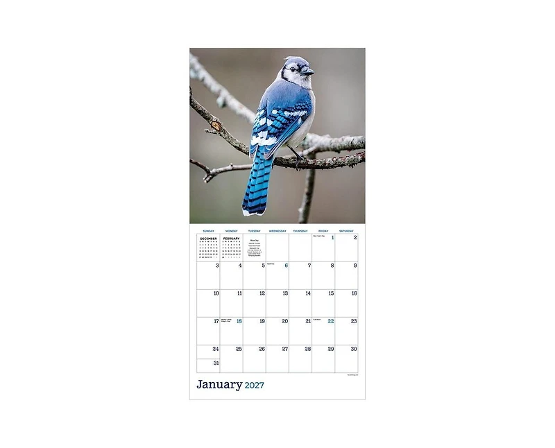 Tf Publishing Paper Goods 2027 Backyard Birds Wall Calendar