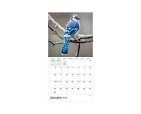 Tf Publishing Paper Goods 2027 Backyard Birds Wall Calendar