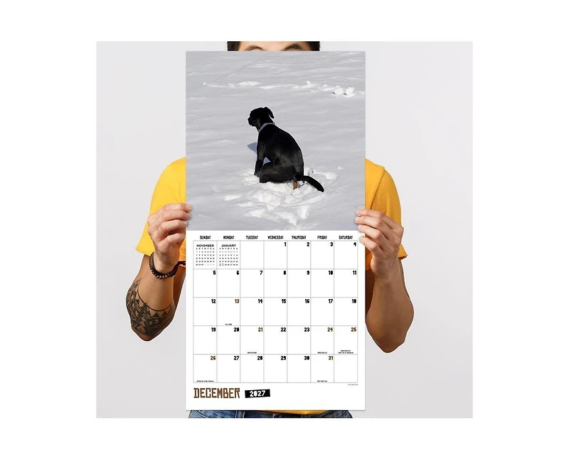 Tf Publishing Paper Goods 2027 Pooping Dogs Wall Calendar