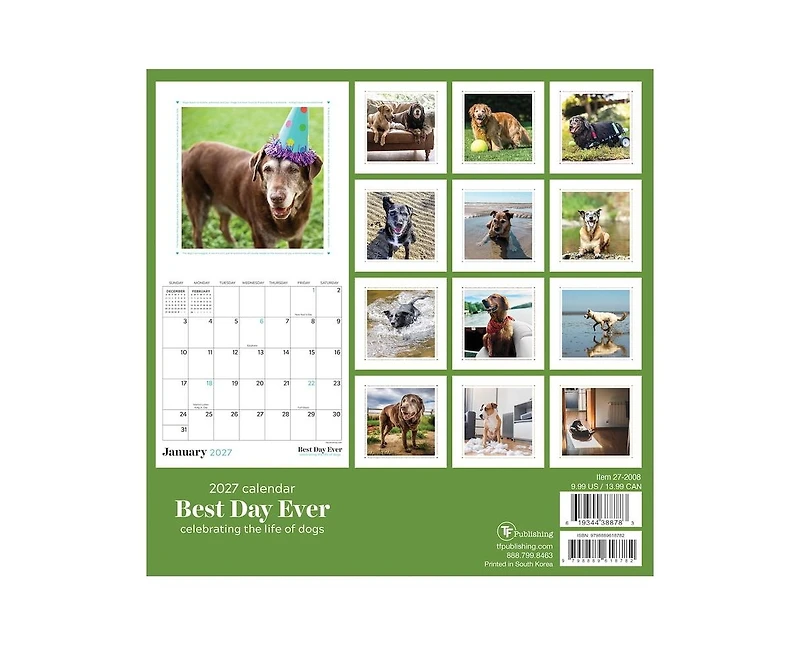 Tf Publishing Paper Goods 2027 Best Day Ever Dogs Mini Calendar