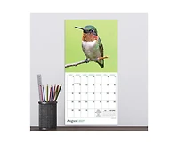 Tf Publishing Paper Goods 2027 Backyard Birds Mini Calendar