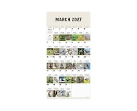 Tf Publishing Paper Goods 2027 Birds Backyard and Beyond Wall Calendar