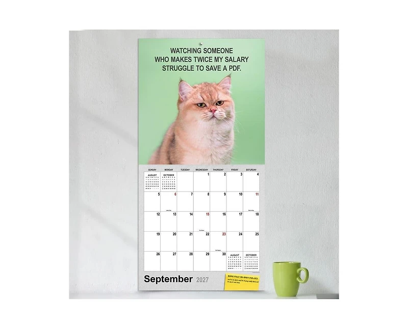 Tf Publishing Paper Goods 2027 Corporate Cats Wall Calendar