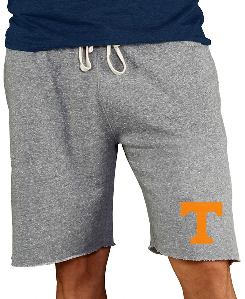 Concepts Sport Men's Gray Tennessee Volunteers Mainstream Terry Shorts