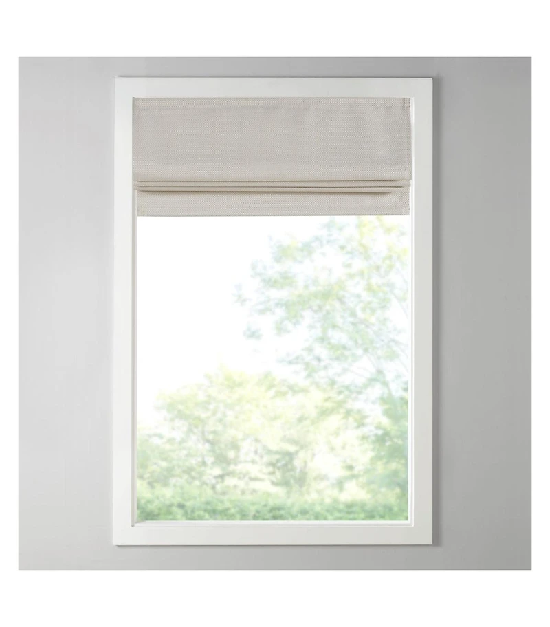 Avobird 64x39x0. 13 inches Darkening Cordless Roman Shade