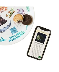 Uncommon Goods Weird Animal Facts 1-Pc. Kids Plate