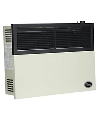Ashley Hearth Products 17,000 Btu Direct Vent Liquid Buddy Propane Wall Mount Heater
