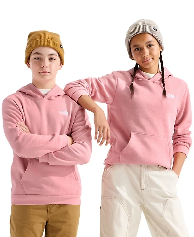 The North Face Boys' and Girls' 7-20 Evolution Simple Dome Long-Sleeve Hoodie