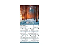 Tf Publishing Paper Goods 2027 Daily Verse Wall Calendar