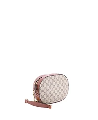 Pre-Owned Gucci Mini Chain Crossbody Bag Gg Coated Canvas and Leather