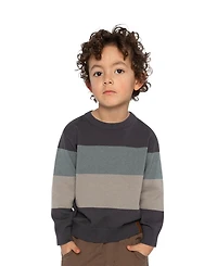 Deux par Toddler Boys (2T - 5T) block Knit Sweater
