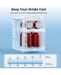 Cowsar 4L Portable Cooler and Warmer Mini Fridge