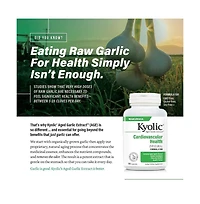 Kyolic Aged Garlic Extract Formula 300, Cardiovascular Health
