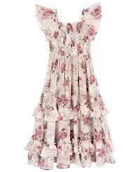 Rare Editions Girls' 7-14 Embroidered Burnout Chiffon Floral Sleeveless Maxi Dress