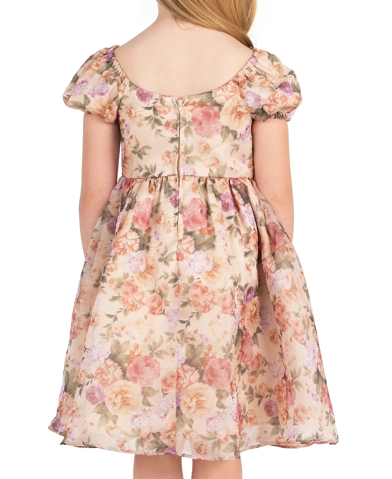 Rare Editions Girls' 2T-6X Floral Print Shimmer Organza Puff Sleeve Dress