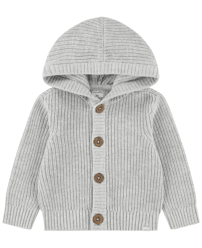 abercrombie kids Baby Boys' Hooded Sweater