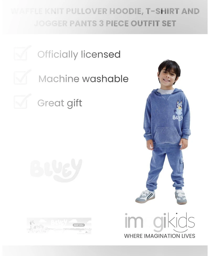 Bluey Toddler Boys' 2T -5T Fleece Hoodie and Pants Set