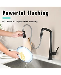 Busdays Matte Professional Kitchen Faucet with 3 Function 360 Degree Sprayer One Touch Switch FastConnect System