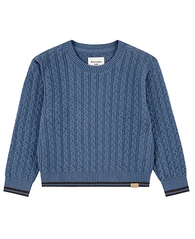abercrombie kids Toddler Boys' 2T-5T Cableknit Crewneck Sweater