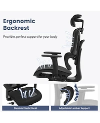homfan Ergonomic Executive Office Chair, High Back Mesh Computer Chair with Adjustable Headrest and Lumbar Support for Home Office