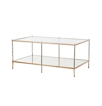 HomeRoots 42" Clear And Glass And Metal Coffee Table