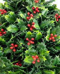 Nearly Natural 16" Ultraviolet Resistant Artificial Holly Berry Christmas Plant Indoor And Outdoor