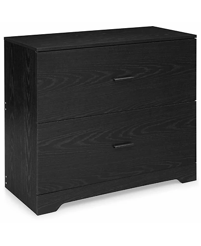 Mecale 2-Drawer Lateral File Cabinet with Adjustable Bars
