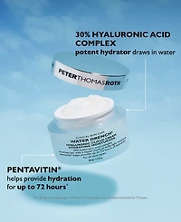 Peter Thomas Roth 2-Piece Hydration Haul Set