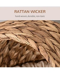 Ruie Hand-Woven Elevated Cat Bed Egg Chair House with Cushion and Stand