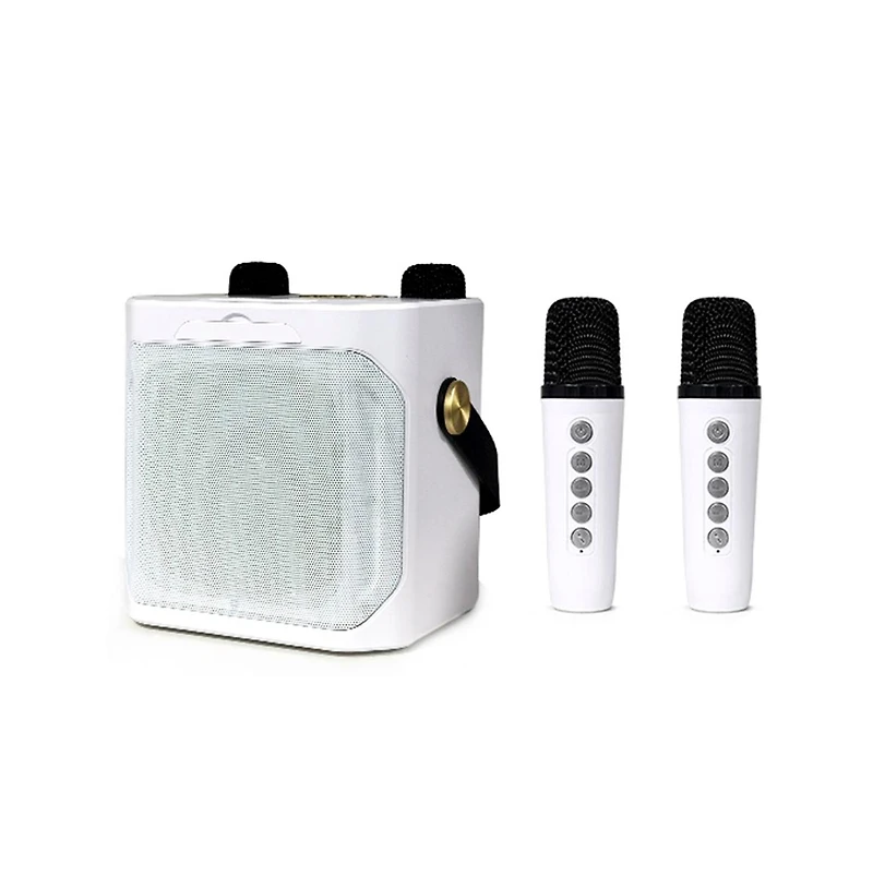 Artudatech 10W Bluetooth 5.3 Dual-Wireless Microphone Karaoke Speaker