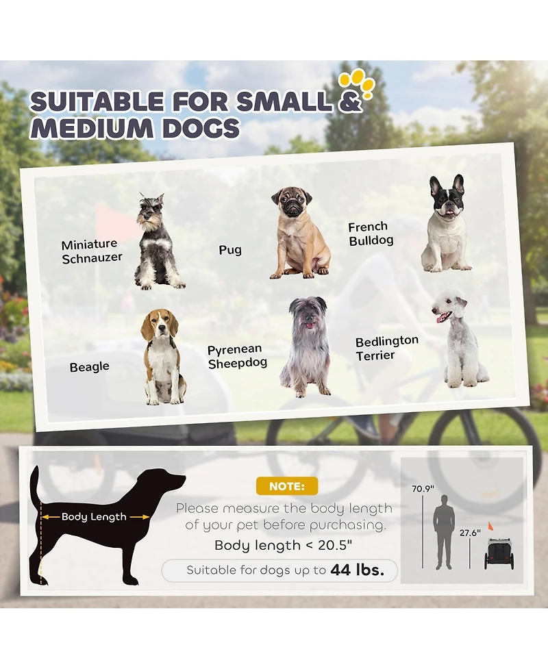 Ruie Dog Bike Trailer for Small and Medium Dogs with Flip Down Ramp Tailgate