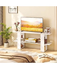 Sugift 2-Tier Tv Stand with Storage and Open Shelf for TVs up to 55 in