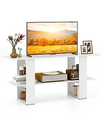 Sugift 2-Tier Tv Stand with Storage and Open Shelf for TVs up to 55 in