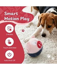 Nocciola Bouncy Ball Interactive Dog Toy, Plush Cover with Treat Hiding Pockets, Usb Rechargeable Bouncing Core, Hide and Seek Toy
