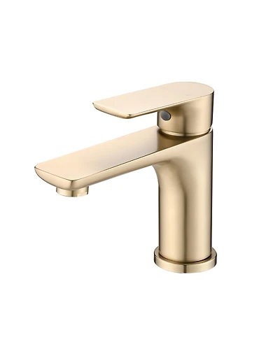 Busdays Single Handle Bathroom Sink Faucet for Lavatory Basin