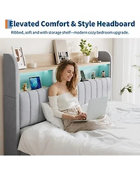 homfan Upholstered Bed with 2 Drawers and Led Lights | Platform Charging Station Storage Headboard, Heavy Duty, No Box Spring Needed