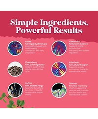 Nature's Craft Women's Fertility Supplement Prenatal Multivitamins,Choline Inositol Folate Chasteberry CoQ10 Blend,Promote Faster Conception,180 Count
