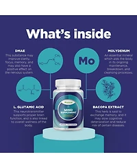Phytoral Nootropic Supplement with Bacopa, Dmae, Glutamic Acid and B Vitamins, 60 Capsules