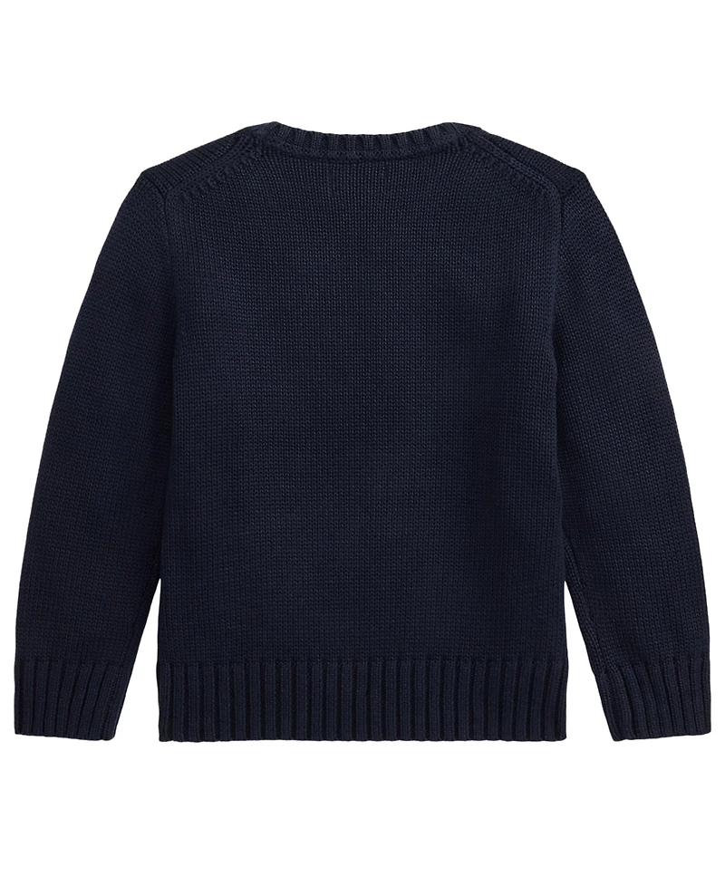 Polo Ralph Lauren Boys' 2T-7 Crewneck Sweater