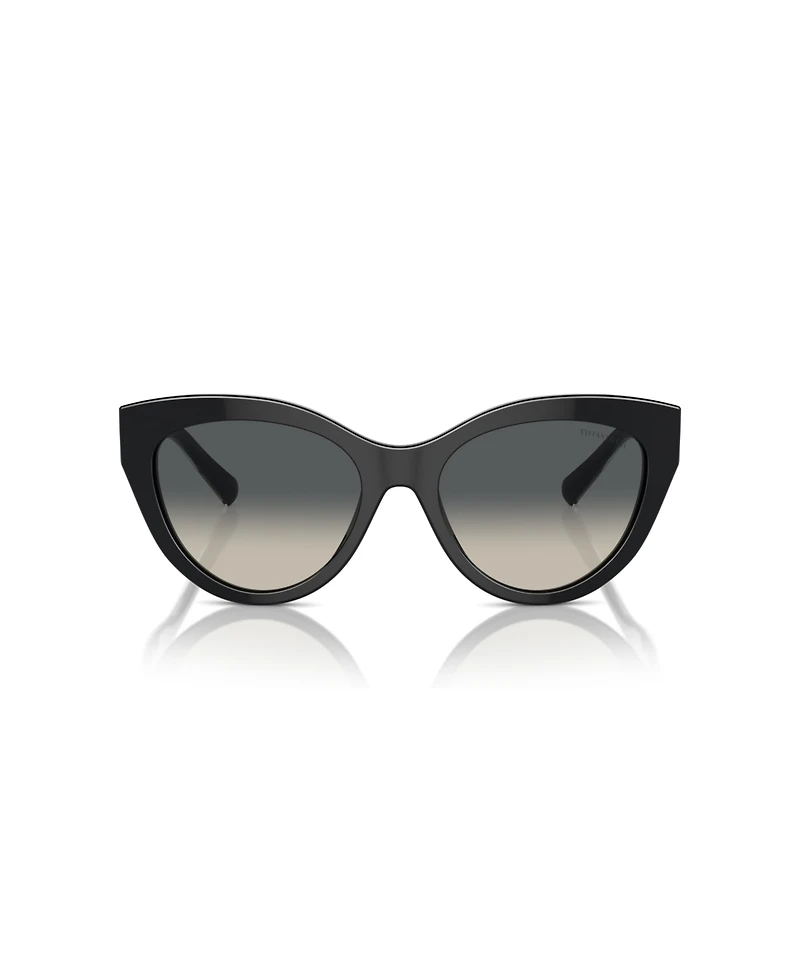 Tiffany & Co. Women's Sunglasses