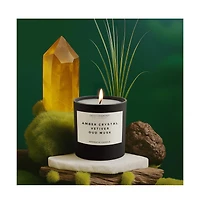 Environment 8oz Candle Inspired by Baccarat Rouge 540