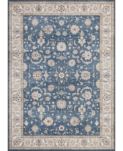 Mink Home Homewell Machine Washable HAM4007 7'10"x9'10" Area Rug