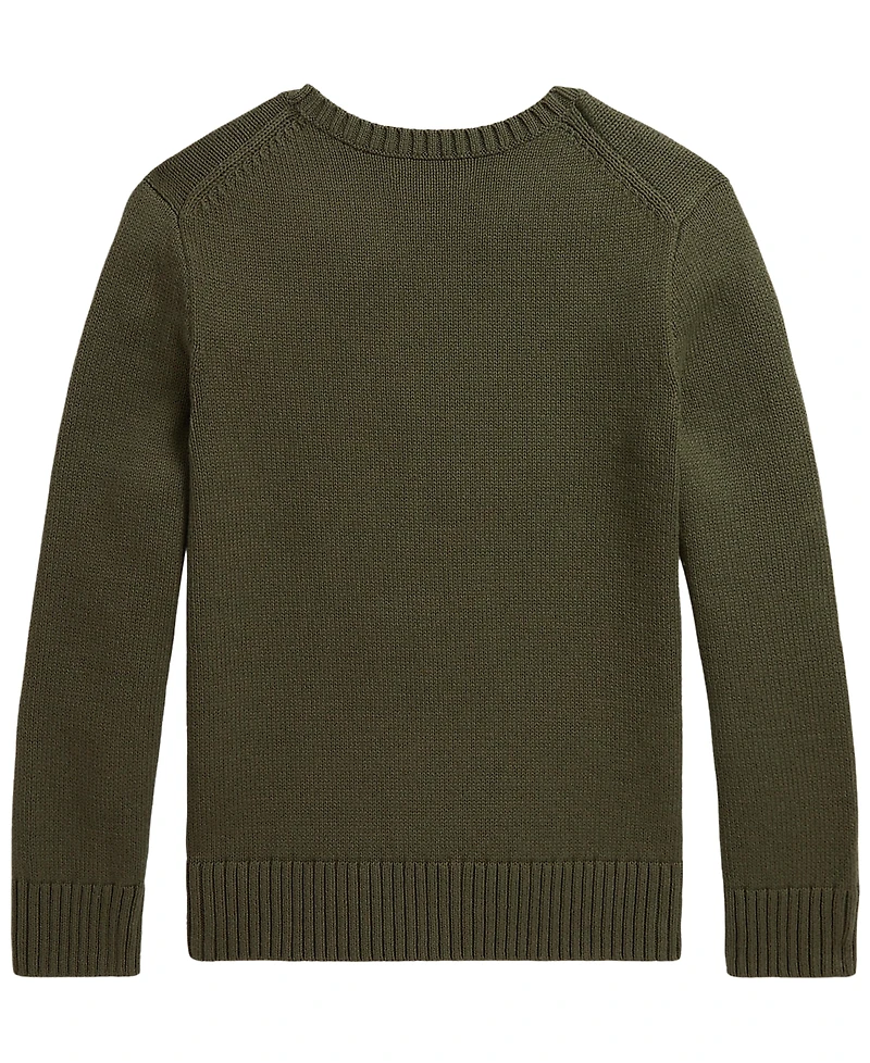 Polo Ralph Lauren Boys' 8-20 Bear Embroidered Sweater
