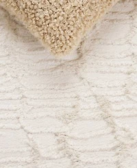 Safavieh Seattle Shag Ste912 Area Rug Collection