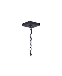 Craftmade Armstrong 12 3/4" High Black and Glass Outdoor Hanging Light