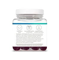 Youtheory Ashwagandha Gummies Stress and Energy Support Ksm 66 and Ginger Zero Sugar Blueberry 60 Count, Pack of 2 60 Day Supply