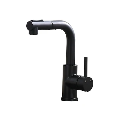 Thirtypeachy Single Handle Pull-Out Kitchen Faucet, Stainless Steel with Dual-Function Sprayer and 360degree(s) Swivel