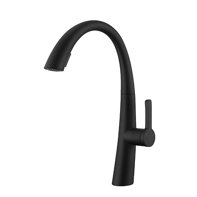 Thirtypeachy Single Handle High-Arc Pull-Down Kitchen Faucet, Stainless Steel with Dual-Mode Sprayer and 360degree(s) Swivel